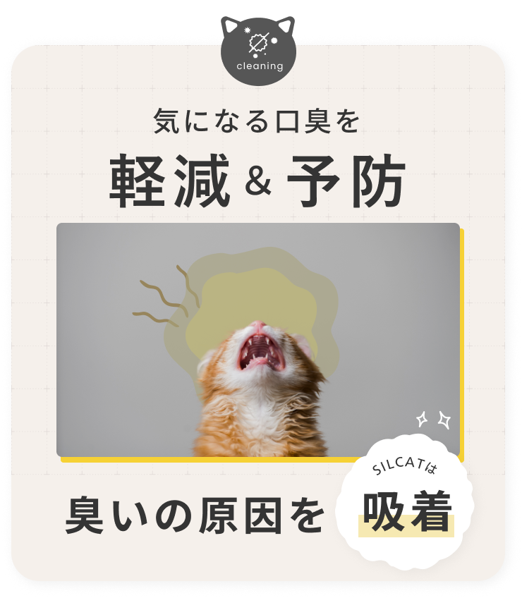 猫用サプリ 腎臓ケア 口臭予防
