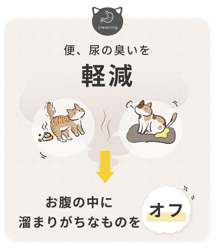 SILCAT シルキャット 猫サプリ