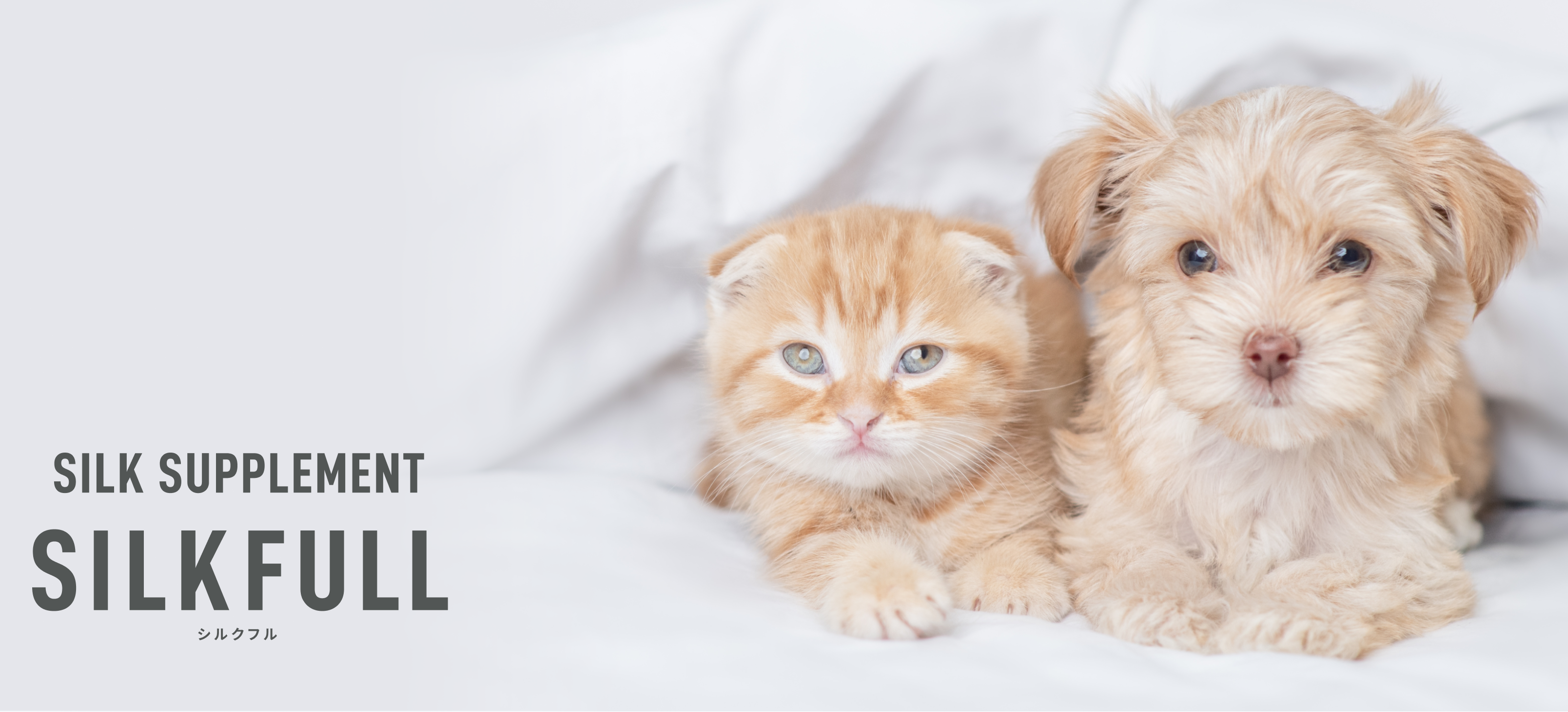 SILKFULLシルクフル