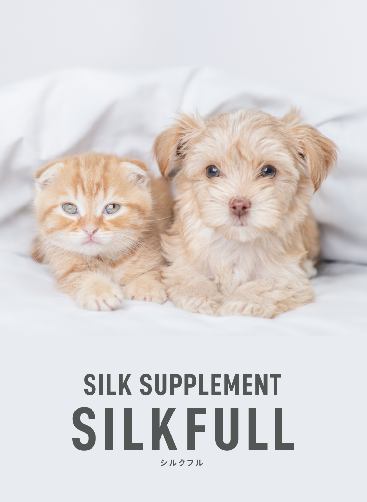 SILKFULLシルクフル
