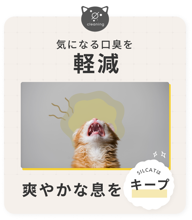SILCAT シルキャット 猫サプリ