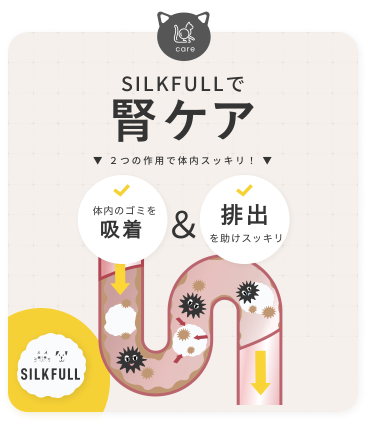 腎ケア