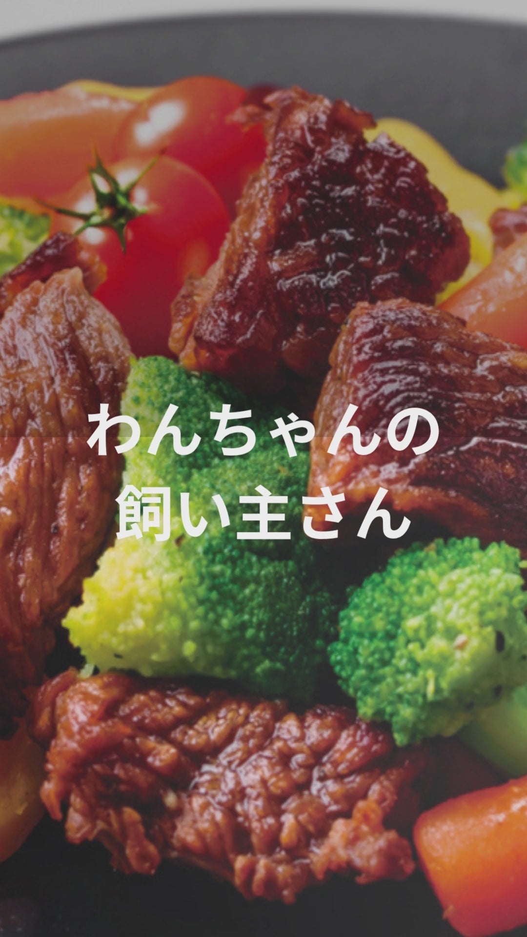 SILKFULL 犬用プレミアムウェットフード(ビーフ味、チキン味) / 私も一緒に食べたい、本当においしいごはん。