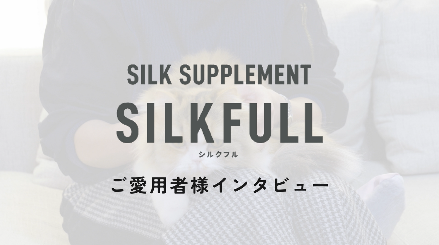 SILKFULLユーザーインタビュー