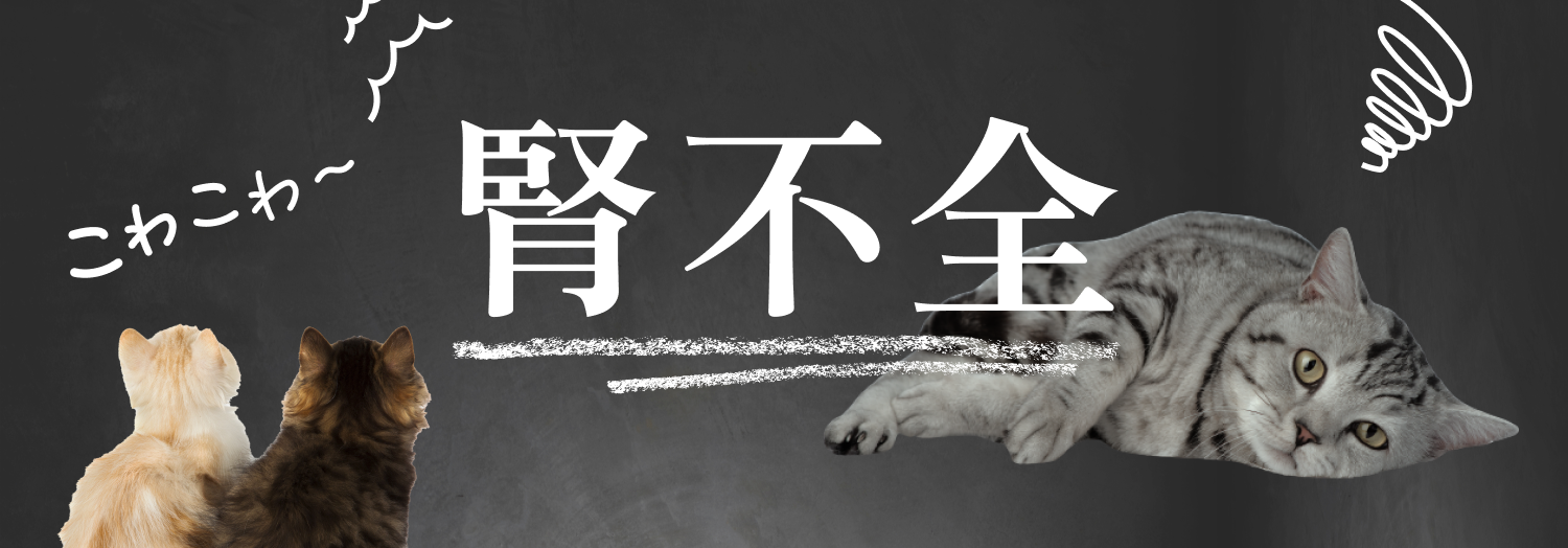 【猫と腎臓病】