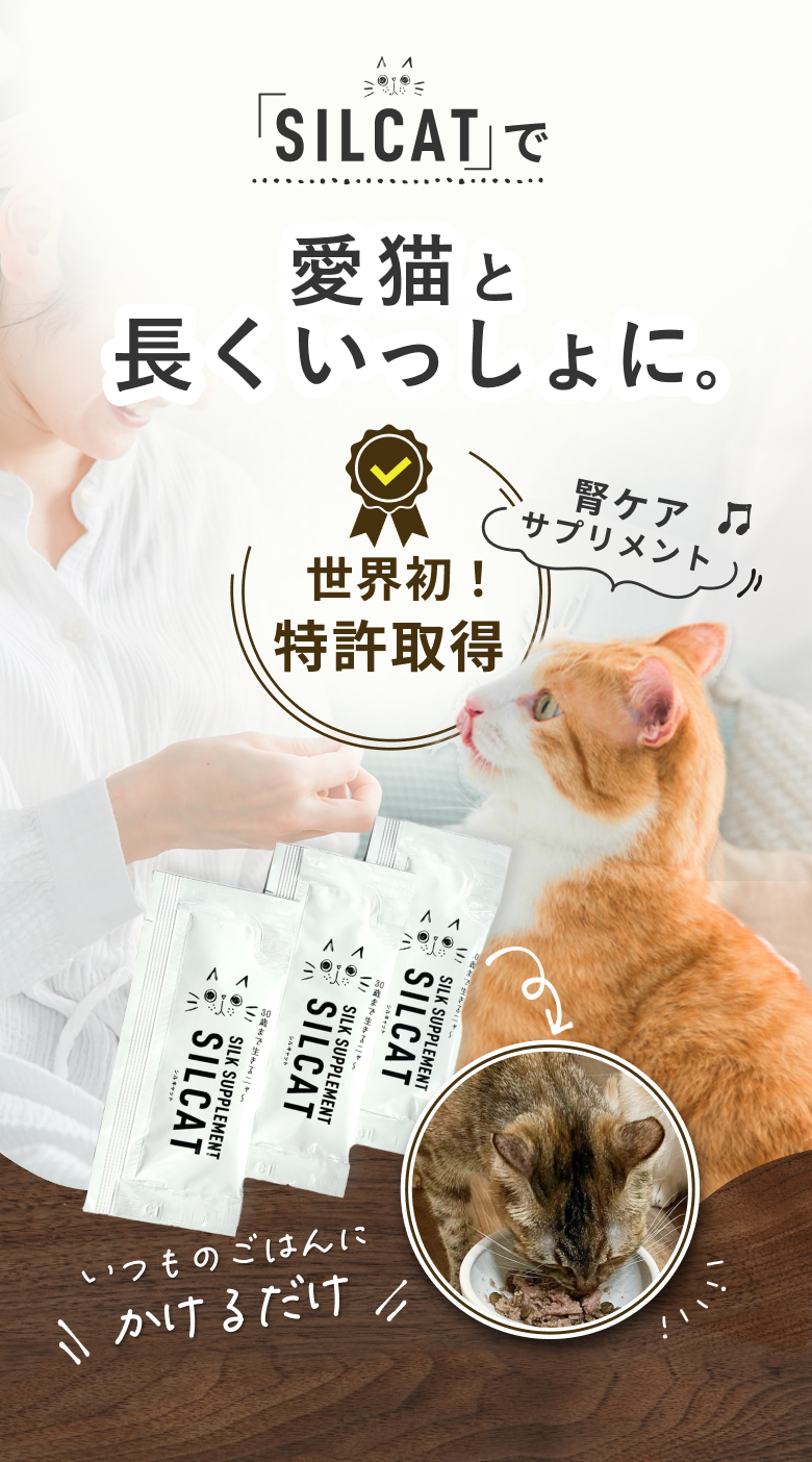 SILCAT　シルキャット