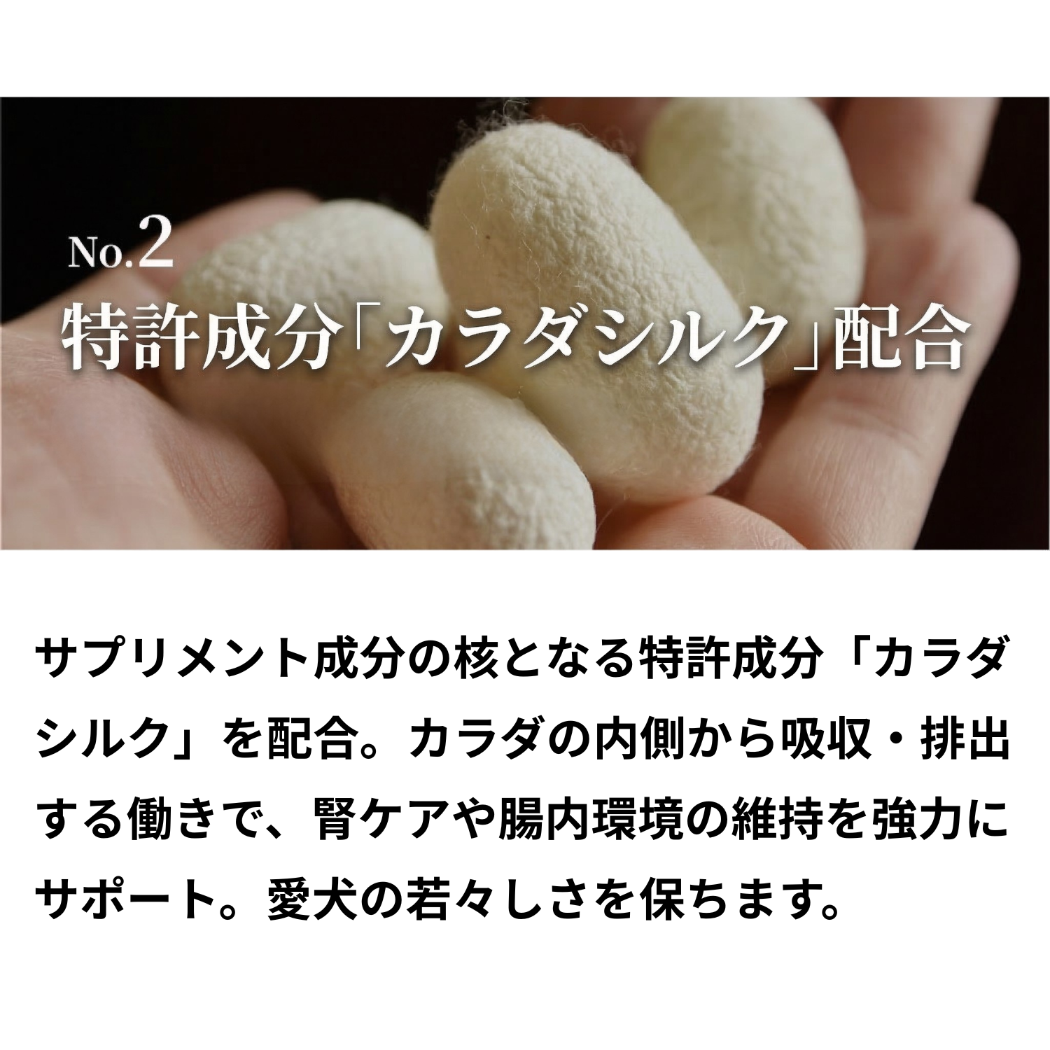 SILKFULL Dog Supplements &amp; Treats (Eye &amp; Tear Care [Bilberry], Skin &amp; Coat Care [Cranberry], Oral Care [Manuka Honey])