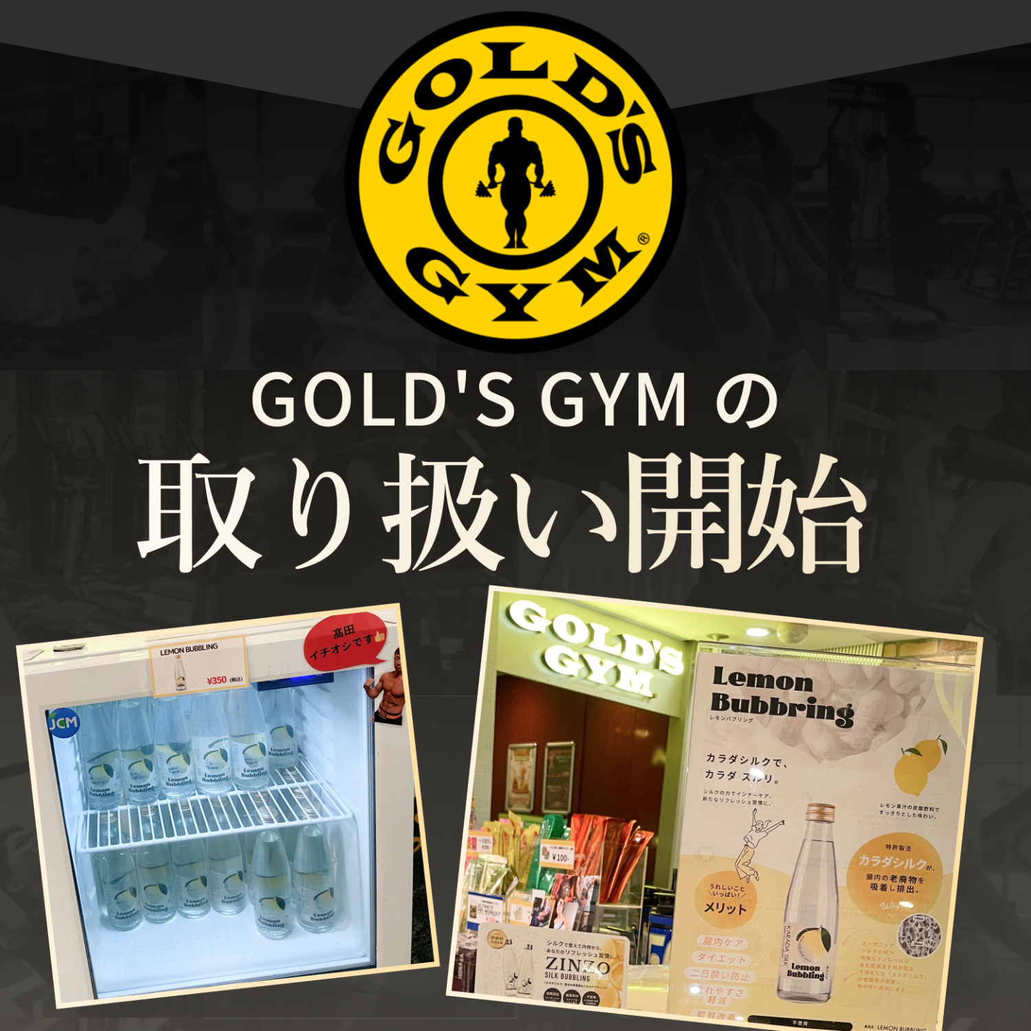 【ヒト用】カラダシルク飲料 ZINZO