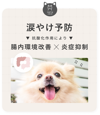 涙やけ