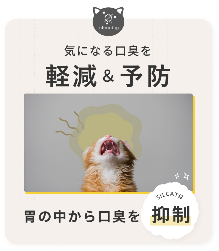 口臭予防