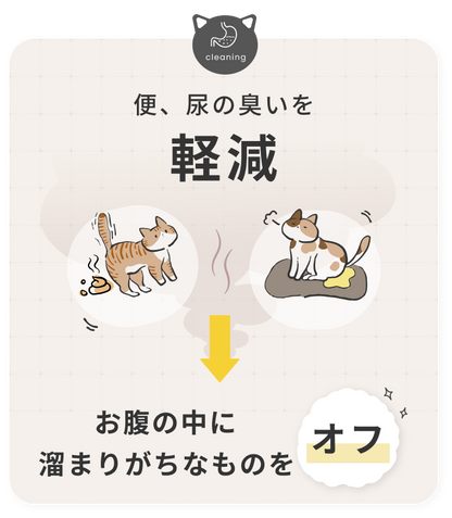 SILCAT シルキャット 猫サプリ