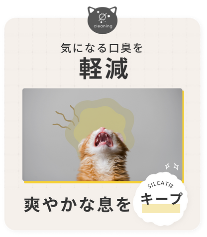 SILCAT シルキャット 猫サプリ