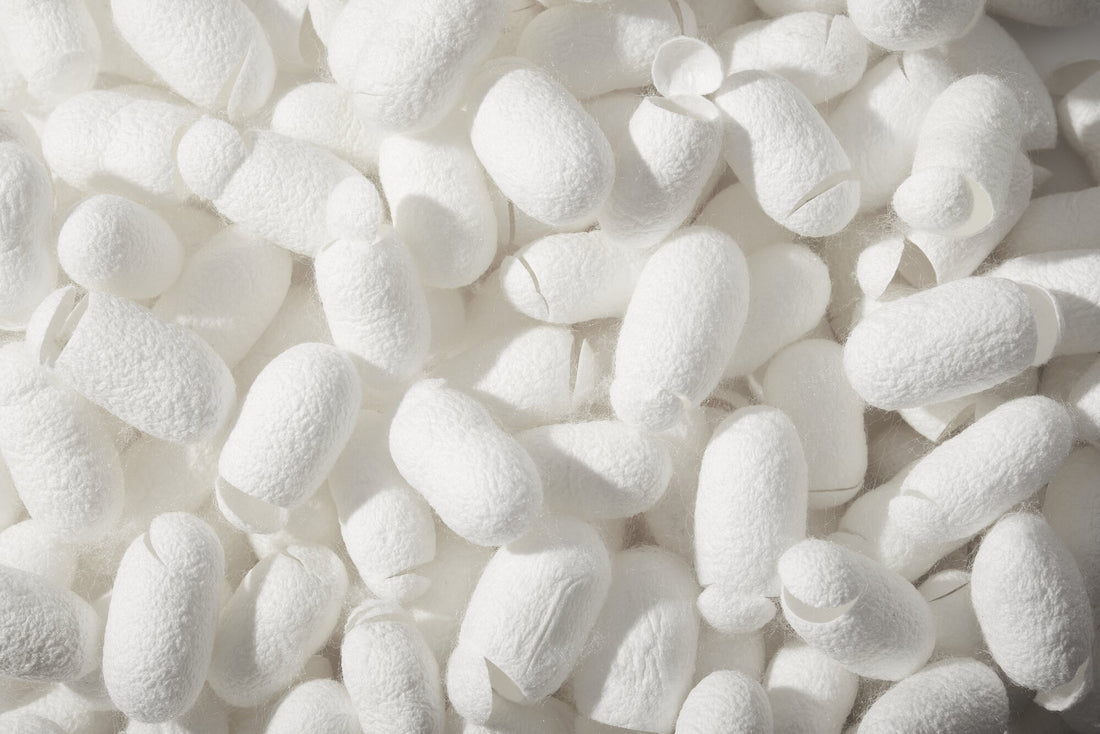 シルクの素材美