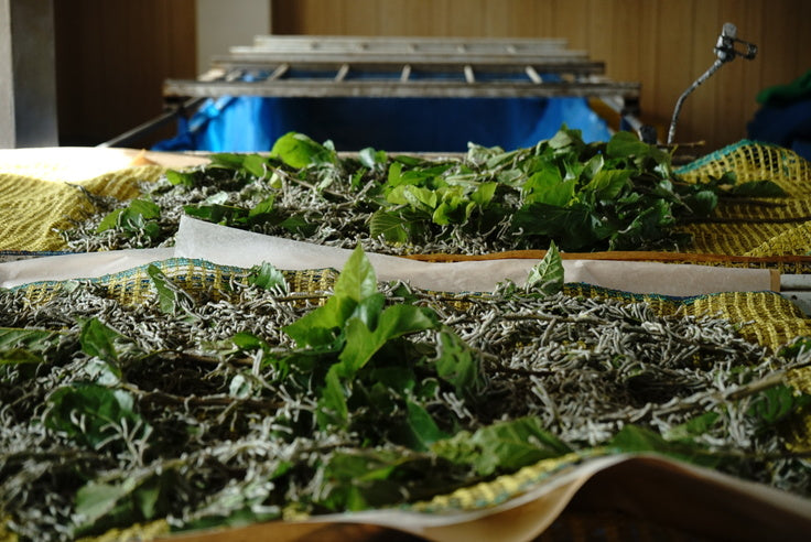 産業の現状グラフイメージ