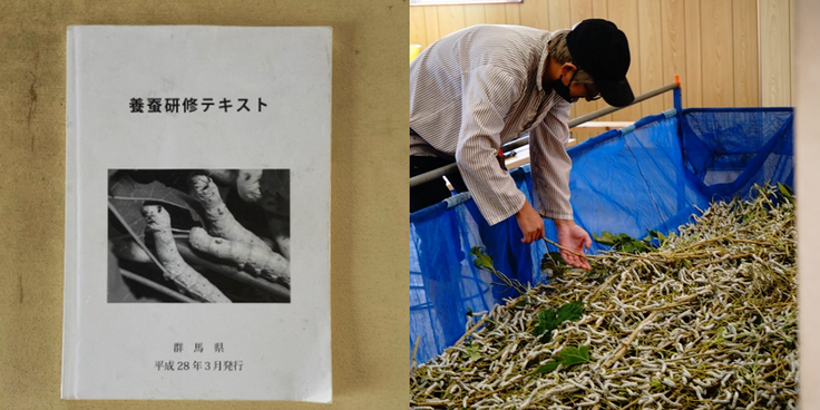 養蚕フィールドの風景