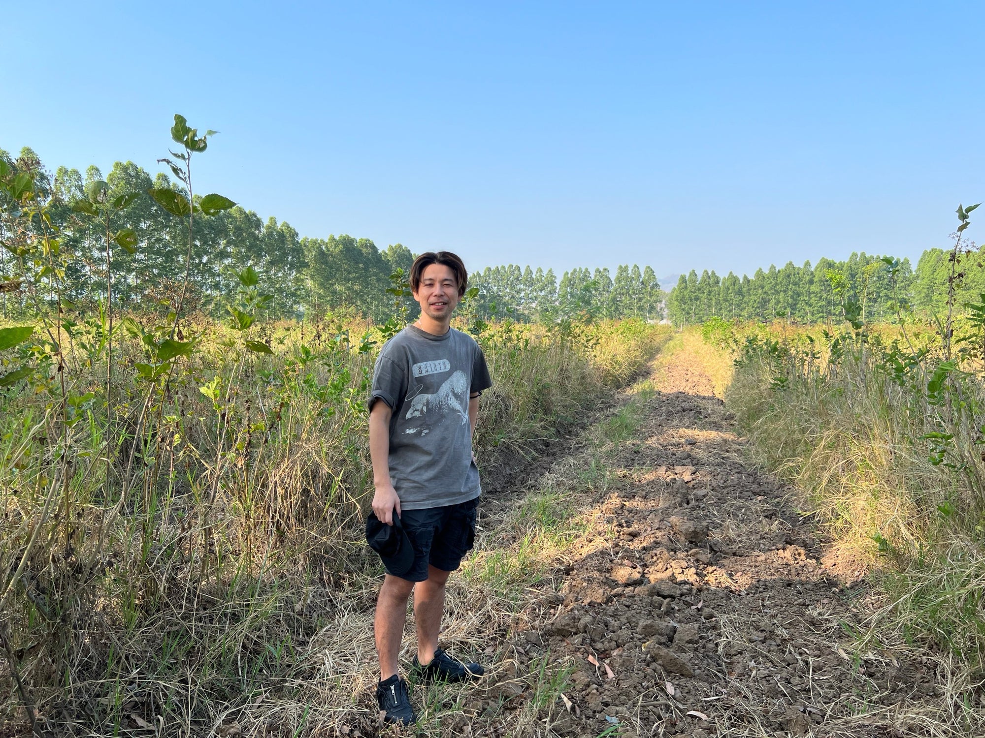 日本のシルク産業